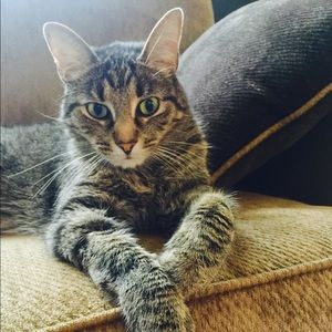 Meet your Posher, Bruce